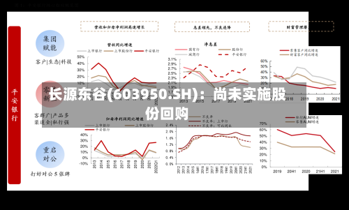 长源东谷(603950.SH):尚未实施股份回购-第2张图片