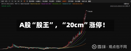 A股“股王”，“20cm”涨停！