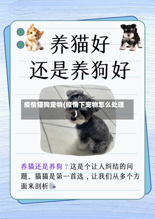 疫情猫狗宠物(疫情下宠物怎么处理)