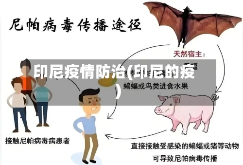 印尼疫情防治(印尼的疫)