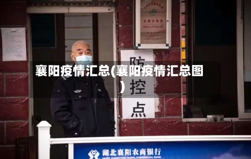 襄阳疫情汇总(襄阳疫情汇总图)