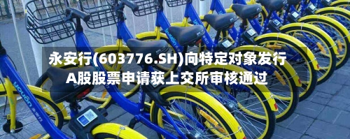 永安行(603776.SH)向特定对象发行A股股票申请获上交所审核通过