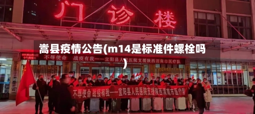 嵩县疫情公告(m14是标准件螺栓吗)