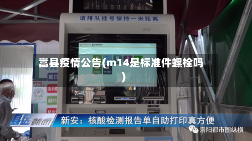 嵩县疫情公告(m14是标准件螺栓吗)-第2张图片