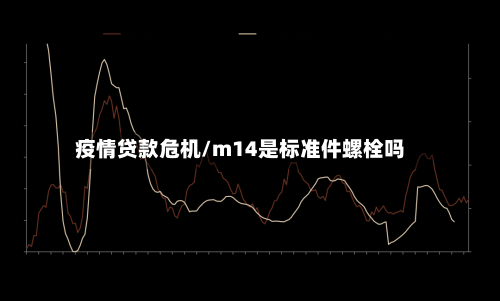 疫情贷款危机/m14是标准件螺栓吗-第2张图片