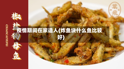 疫情期间在家造人(炸鱼块什么鱼比较好)