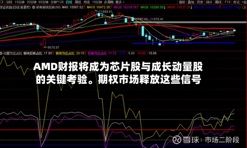 AMD财报将成为芯片股与成长动量股的关键考验。期权市场释放这些信号