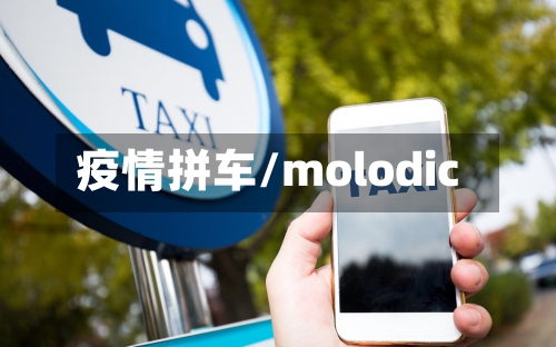 疫情拼车/molodic-第3张图片