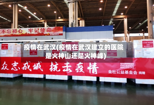 疫情在武汉(疫情在武汉建立的医院是火神山还是火神峰)