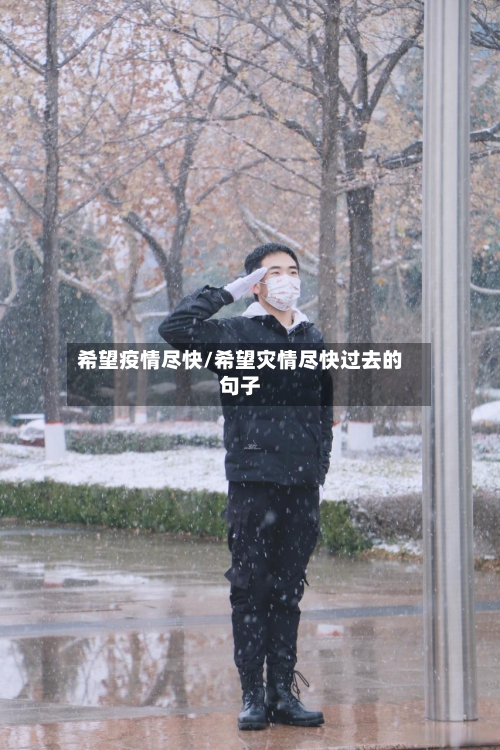 希望疫情尽快/希望灾情尽快过去的句子