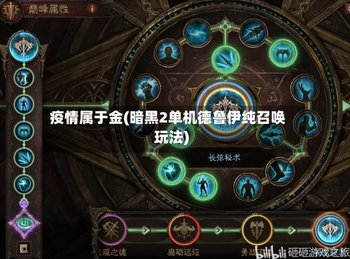 疫情属于金(暗黑2单机德鲁伊纯召唤玩法)