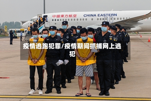 疫情逃跑犯罪/疫情期间抓捕网上逃犯-第3张图片