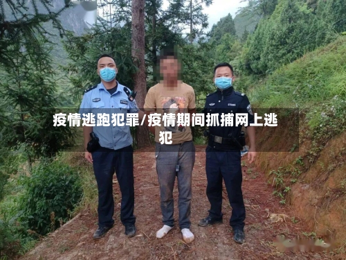 疫情逃跑犯罪/疫情期间抓捕网上逃犯