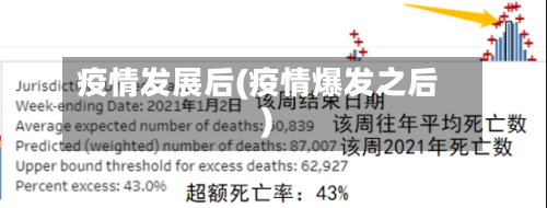 疫情发展后(疫情爆发之后)