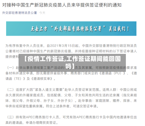 【疫情工作签证,工作签证期间能回国吗】-第2张图片