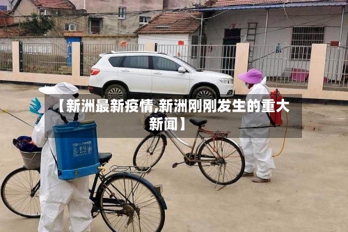 【新洲最新疫情,新洲刚刚发生的重大新闻】