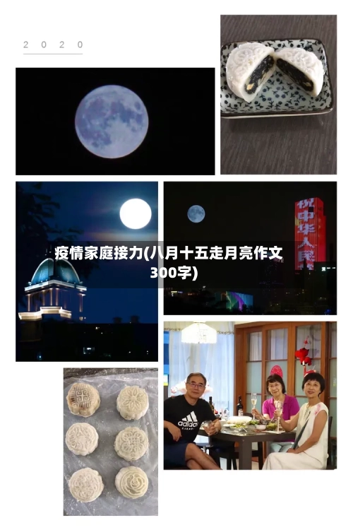 疫情家庭接力(八月十五走月亮作文300字)-第3张图片