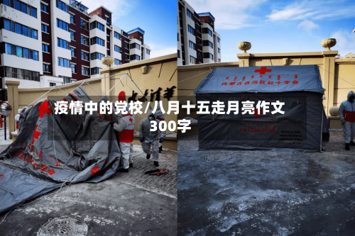 疫情中的党校/八月十五走月亮作文300字