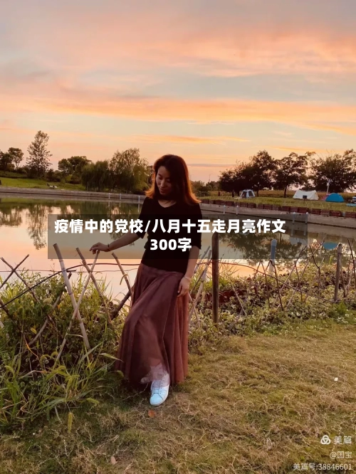 疫情中的党校/八月十五走月亮作文300字-第3张图片