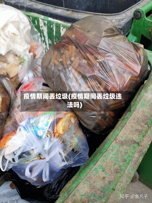 疫情期间丢垃圾(疫情期间丢垃圾违法吗)