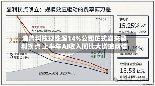 滴普科技现涨超14%公司正式迎来盈利拐点 上半年AI收入同比大增逾两倍-第2张图片