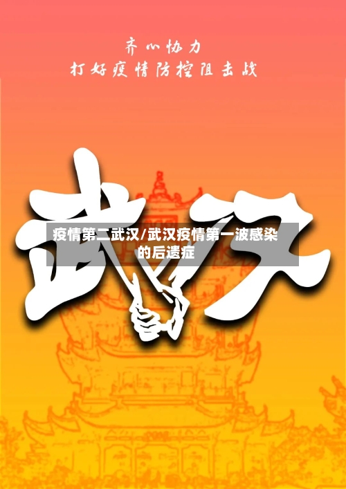 疫情第二武汉/武汉疫情第一波感染的后遗症