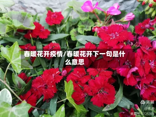 春暖花开疫情/春暖花开下一句是什么意思