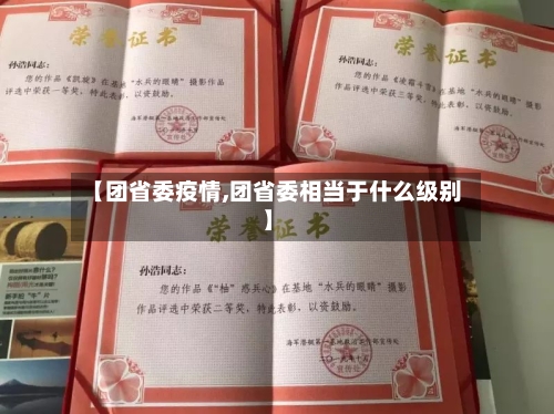 【团省委疫情,团省委相当于什么级别】-第3张图片