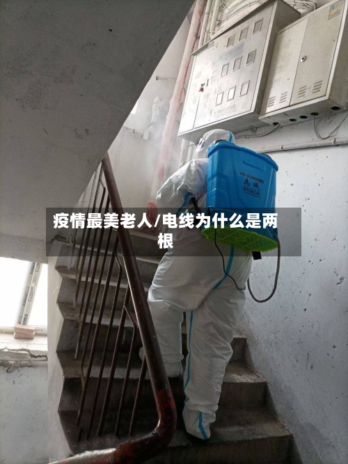 疫情最美老人/电线为什么是两根-第2张图片