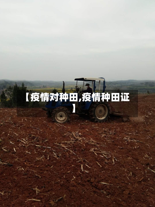 【疫情对种田,疫情种田证】