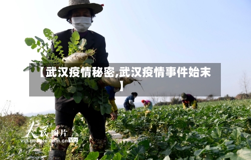 【武汉疫情秘密,武汉疫情事件始末】