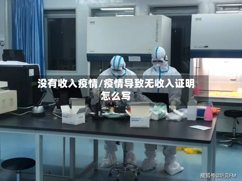 没有收入疫情/疫情导致无收入证明怎么写