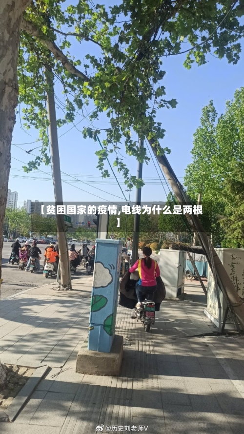 【贫困国家的疫情,电线为什么是两根】-第2张图片