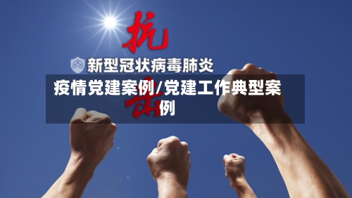 疫情党建案例/党建工作典型案例