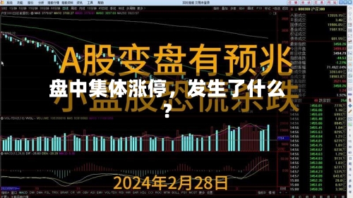 盘中集体涨停，发生了什么？-第2张图片
