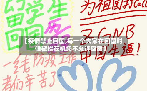 【疫情禁止回国,每一个大家在回国时候被拦在机场不允许回国】-第2张图片