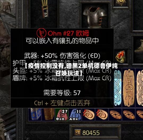 【疫情控制没有,暗黑2单机德鲁伊纯召唤玩法】-第2张图片