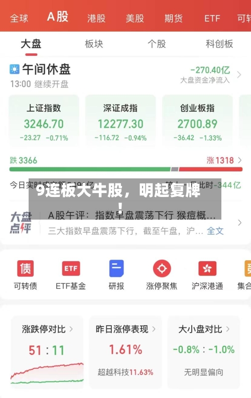 9连板大牛股，明起复牌！-第2张图片