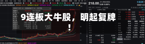 9连板大牛股	，明起复牌！-第3张图片