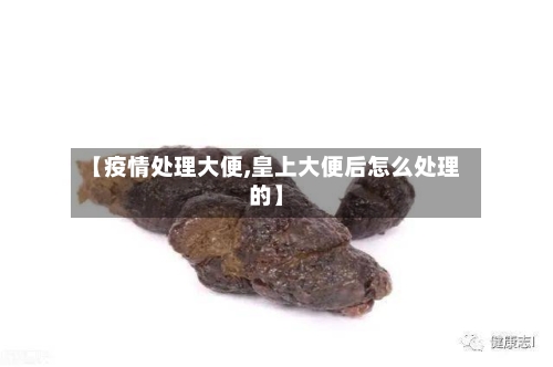【疫情处理大便,皇上大便后怎么处理的】