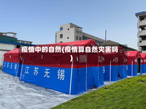 疫情中的自然(疫情算自然灾害吗)-第2张图片
