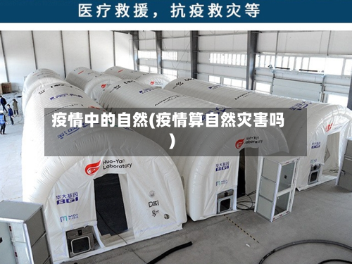 疫情中的自然(疫情算自然灾害吗)