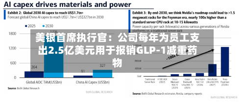 美银首席执行官:公司每年为员工支出2.5亿美元用于报销GLP-1减重药物-第2张图片