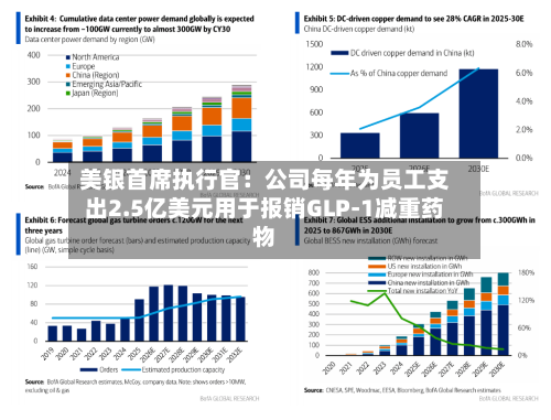 美银首席执行官：公司每年为员工支出2.5亿美元用于报销GLP-1减重药物