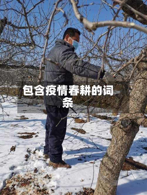 包含疫情春耕的词条
