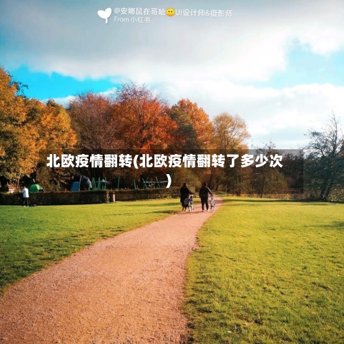 北欧疫情翻转(北欧疫情翻转了多少次)