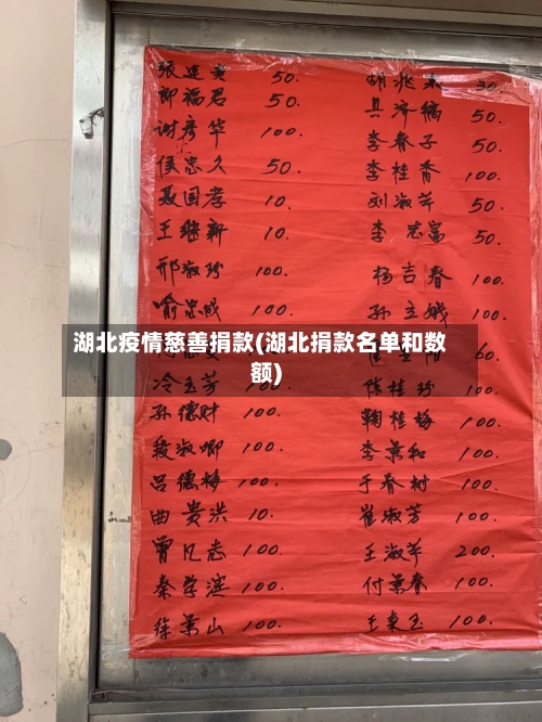 湖北疫情慈善捐款(湖北捐款名单和数额)-第2张图片