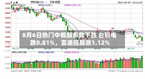 8月6日热门中概股多数下跌 台积电跌0.81%，富途控股涨1.12%