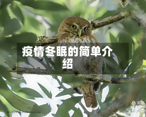 疫情冬眠的简单介绍
