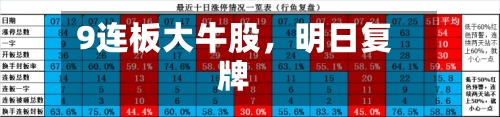 9连板大牛股，明日复牌-第2张图片